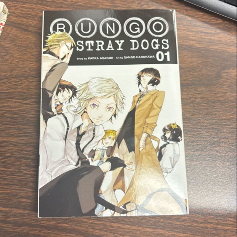 Bungo Stray Dogs, Vol. 1