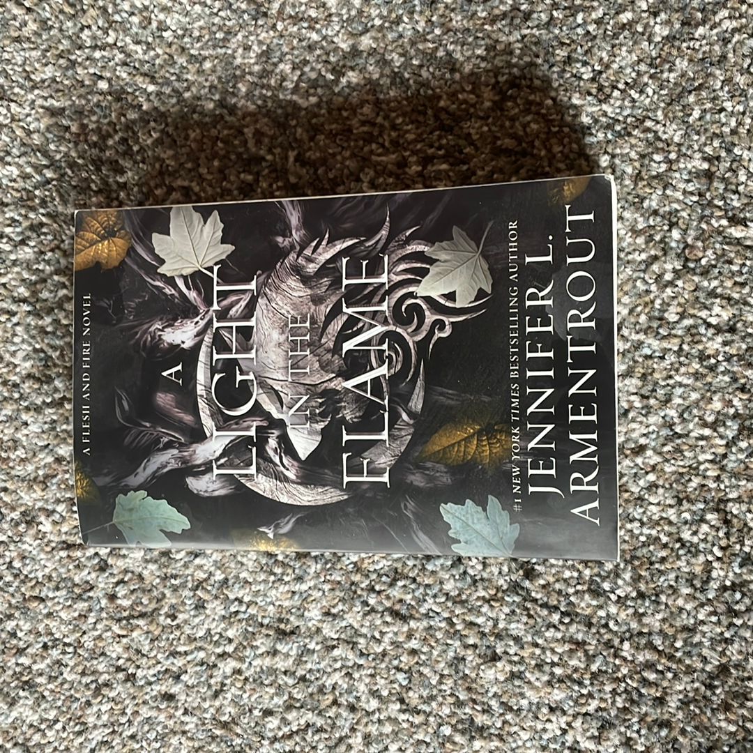 A Light in the Flame book cover