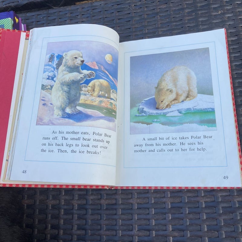 Make A Wish Level 4 Reading book