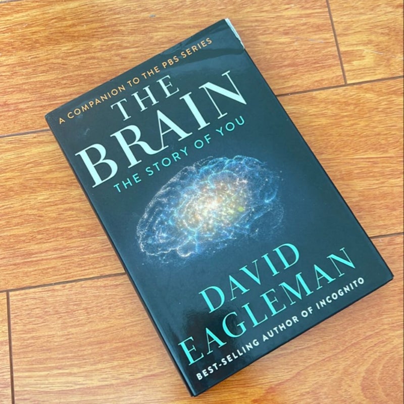 The Brain