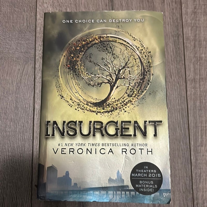 Insurgent and Divergent bundle 