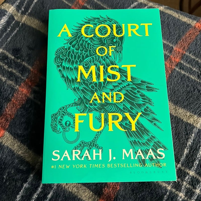 A Court of Mist and Fury by Sarah J. Maas, Paperback Pangobooks