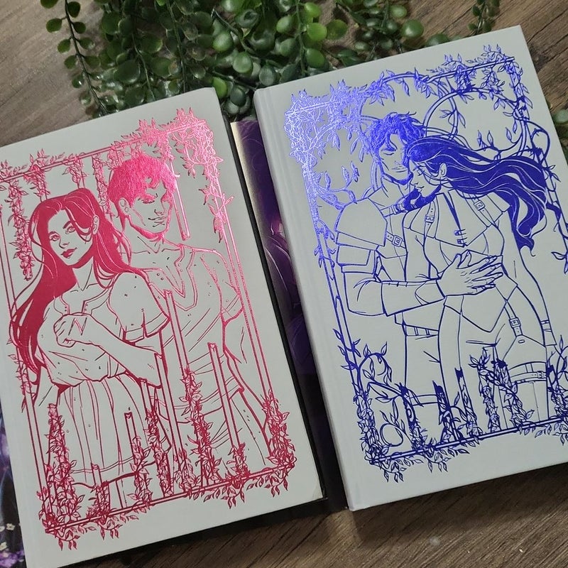 The Prison Healer & The Blood Traitor - Fairyloot