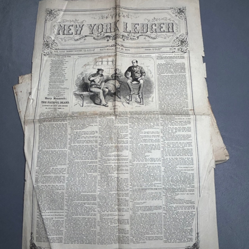 The New York Ledger 1876