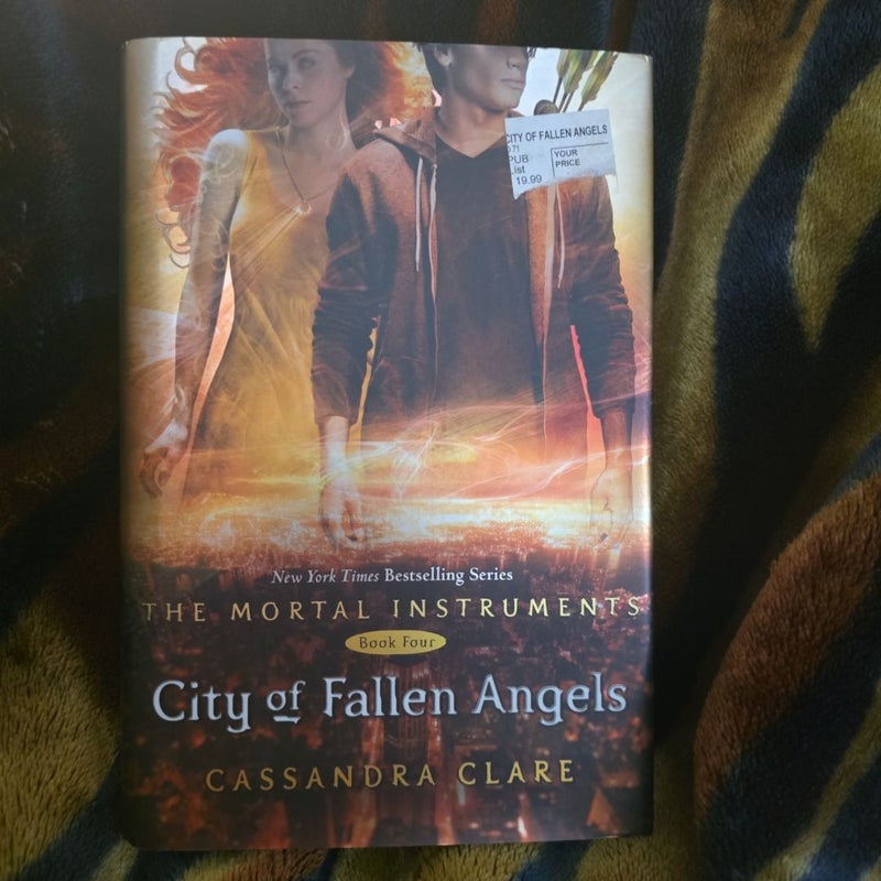 City of Fallen Angels