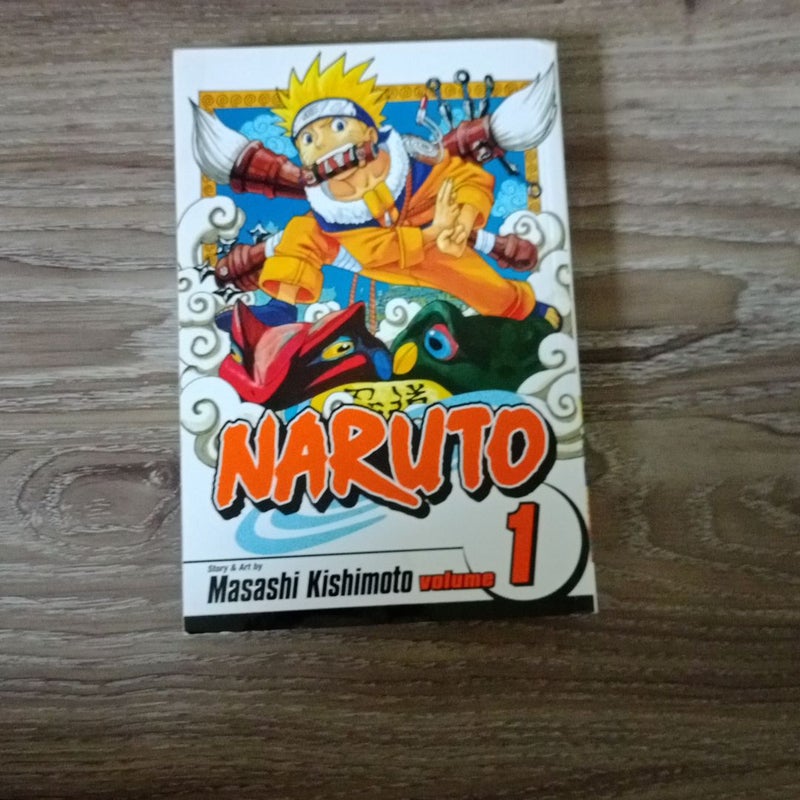 Naruto, Vol. 1 by Masashi Kishimoto, Paperback | Pangobooks