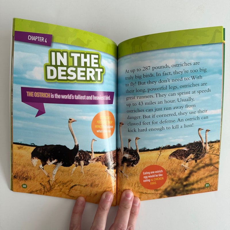 National Geographic Kids Roar!