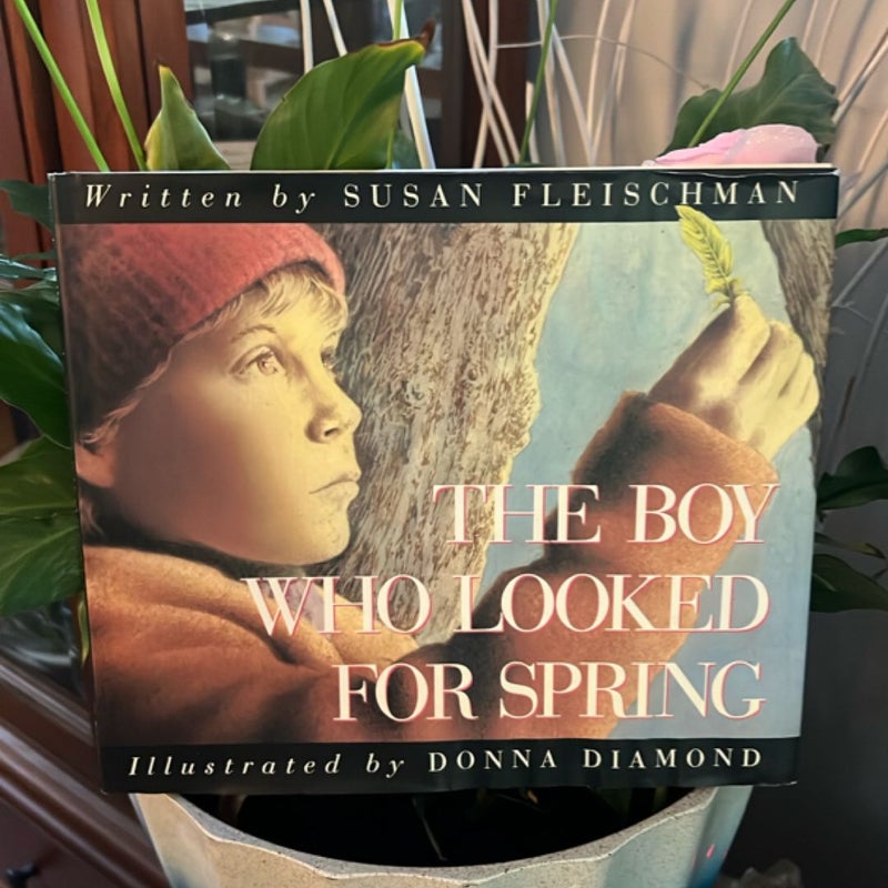 Boy Who Looked for Spring