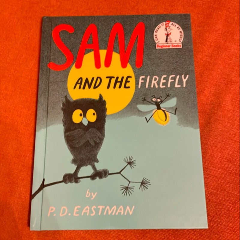 Sam and the Firefly
