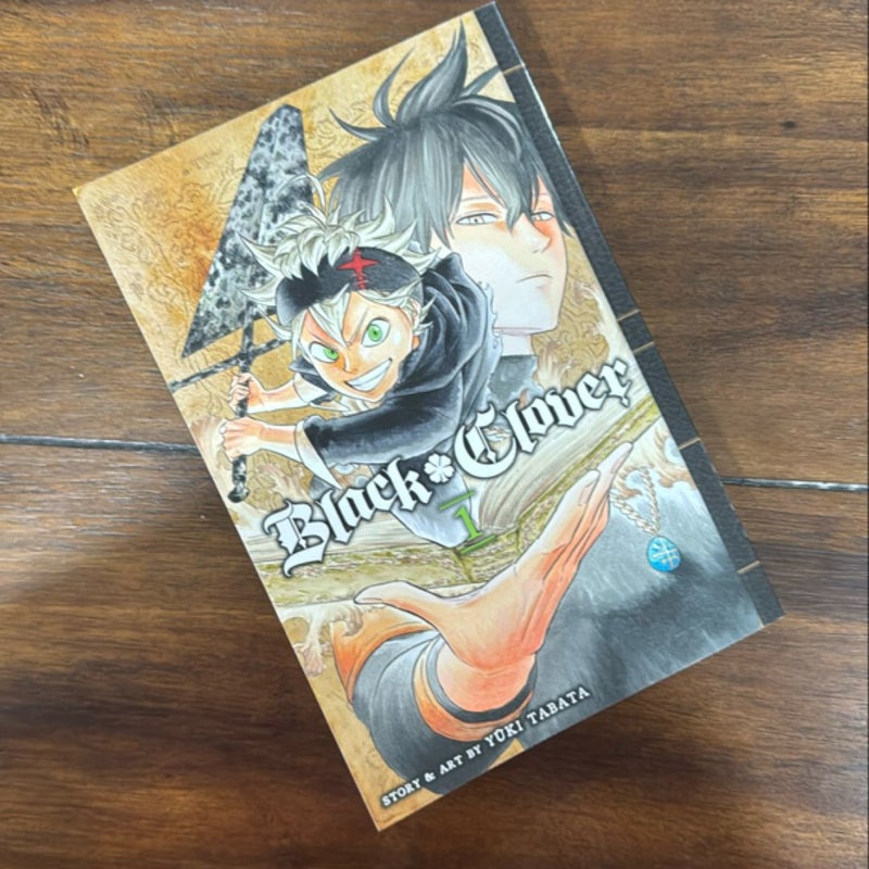 Black Clover, Vol. 1