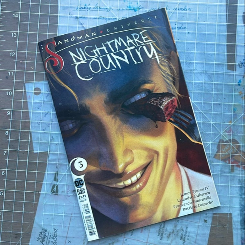 Nightmare Country #3