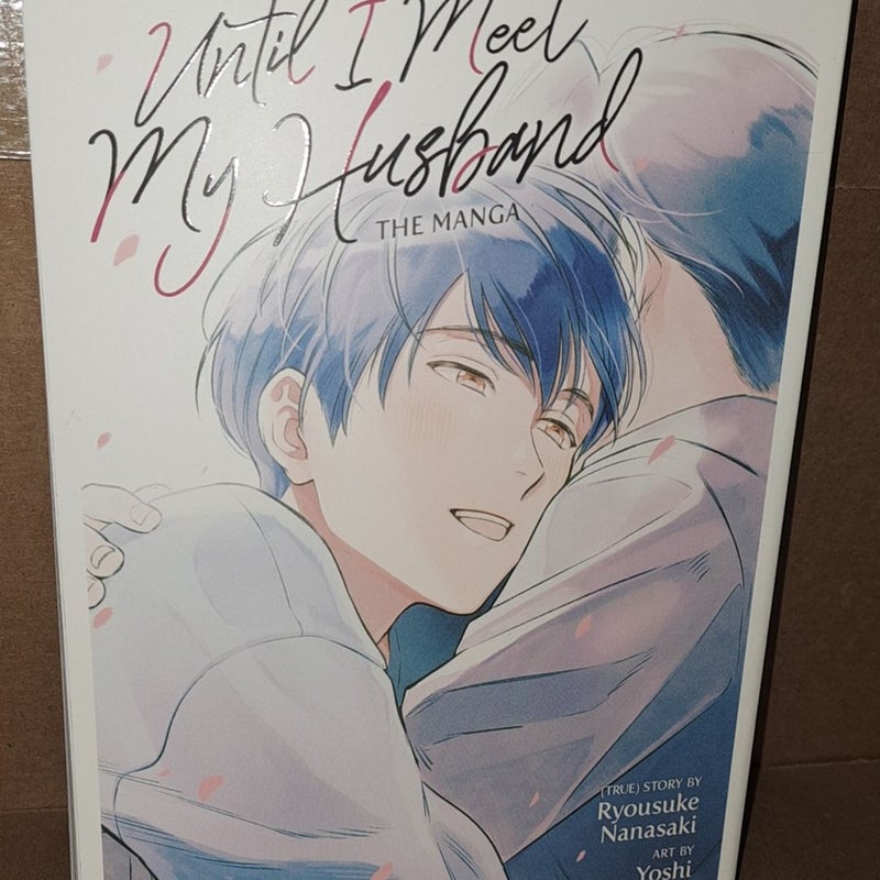 Until I Meet My Husband (Manga)