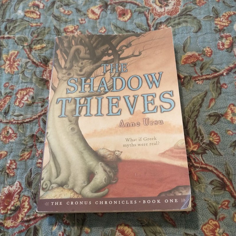 The Shadow Thieves