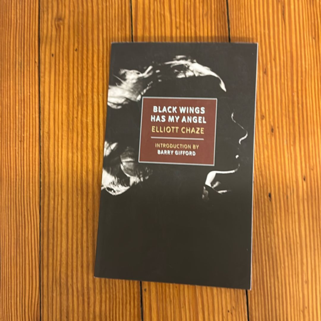 Black Wings Has My Angel