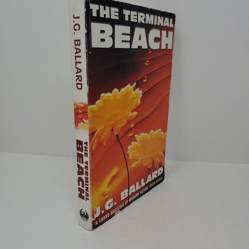 The Terminal Beach