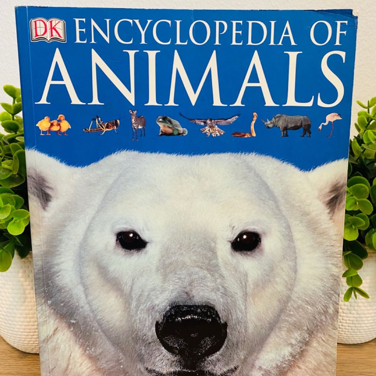 Encyclopedia of Animals by DK