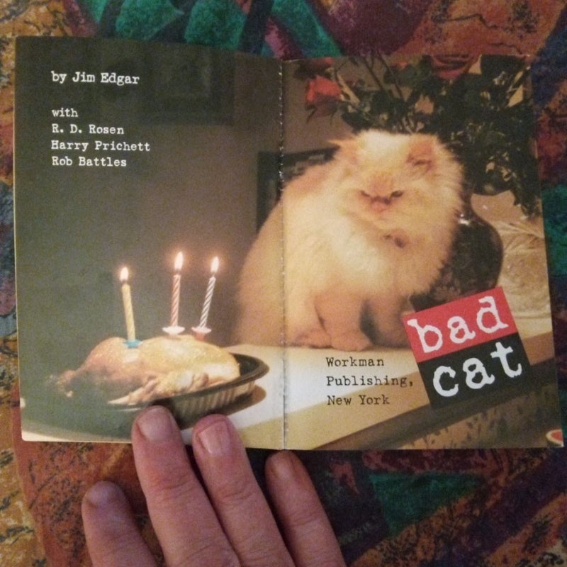 Bad Cat