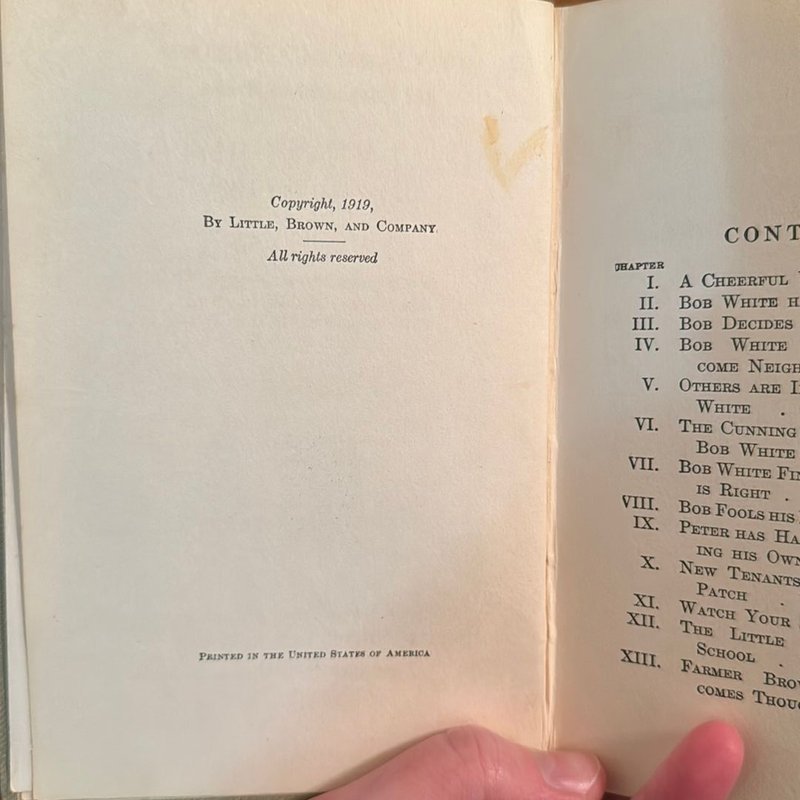 The Adventures of Bob White