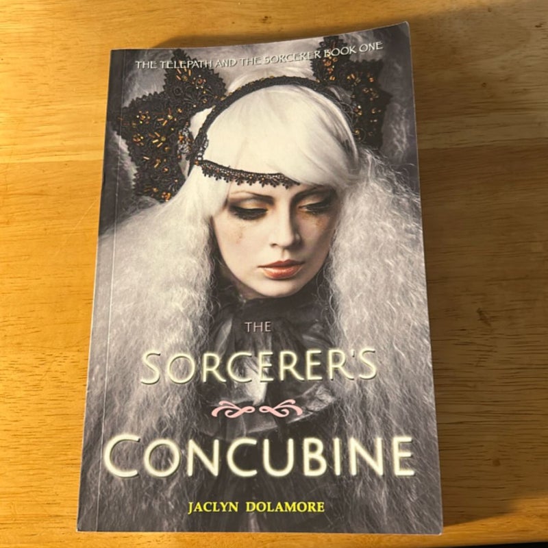 The Sorcerer's Concubine