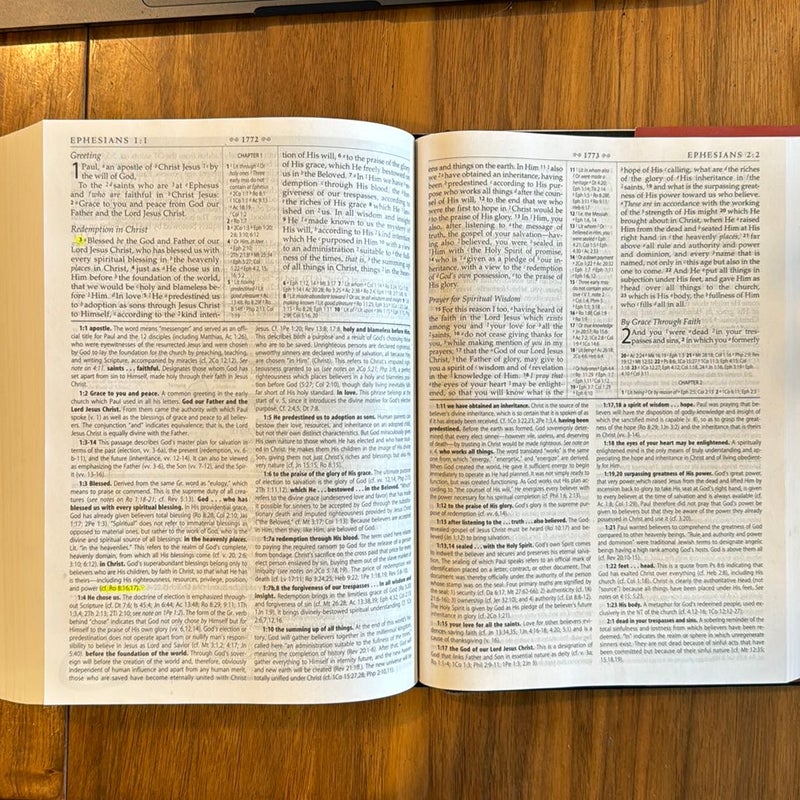 The MacArthur Study Bible NASB
