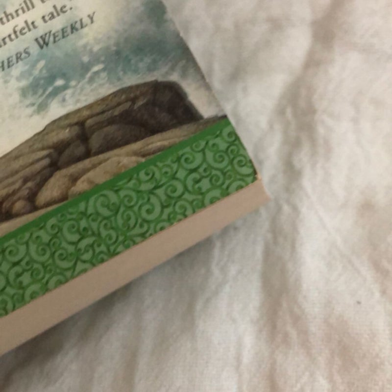 Seer of Sevenwaters