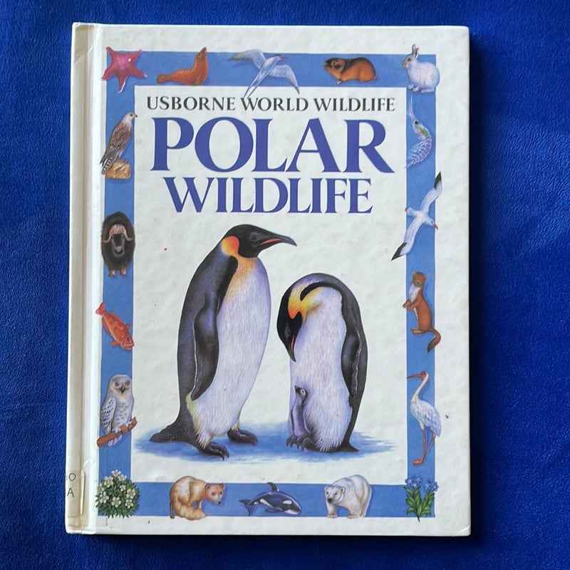 Polar Wildlife