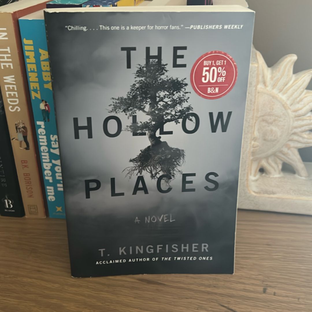 The Hollow Places