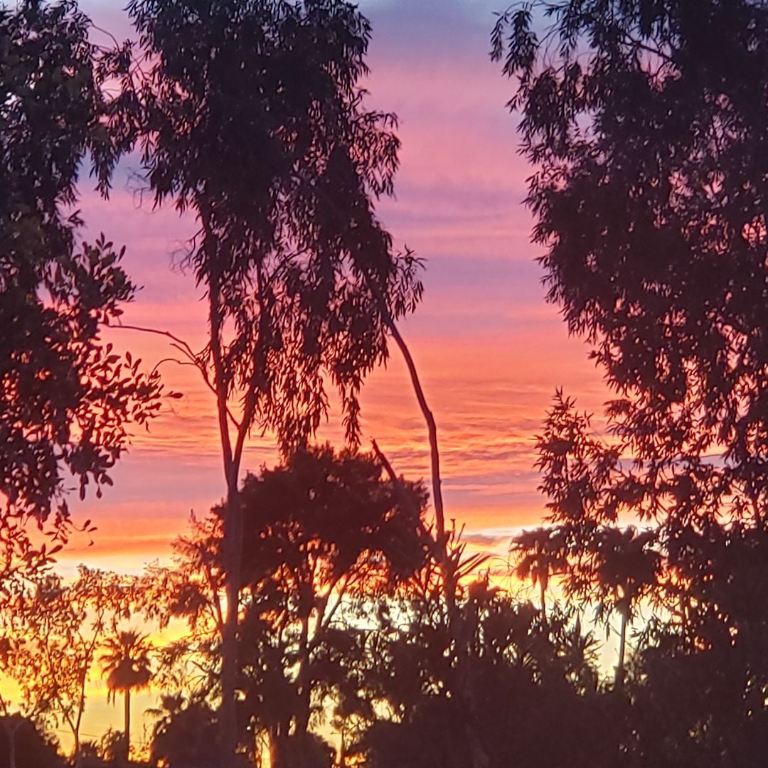 Sunset Books