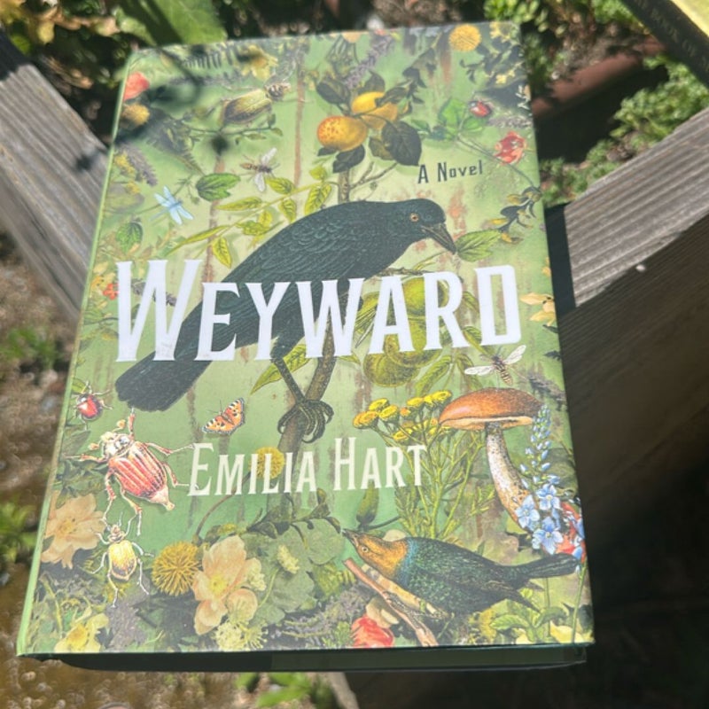 Weyward