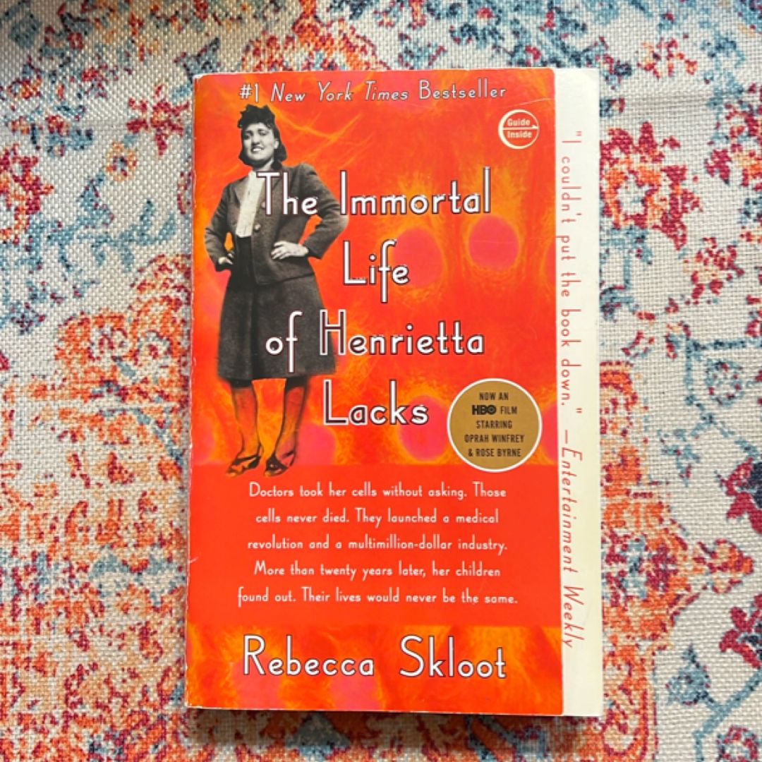 Sale image for b3626ad9-2313-4d26-bd94-fbd49159aaf0-wzNdRrBS1NeEkFTBsqf28OCYXSz2