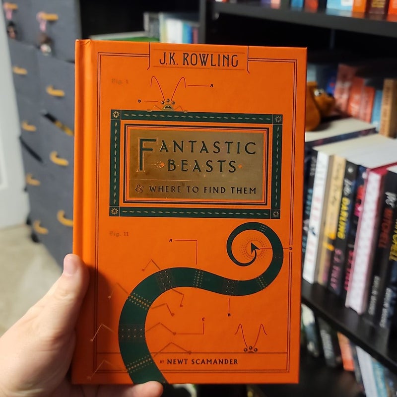 Fantastic Beasts and Where to Find Them