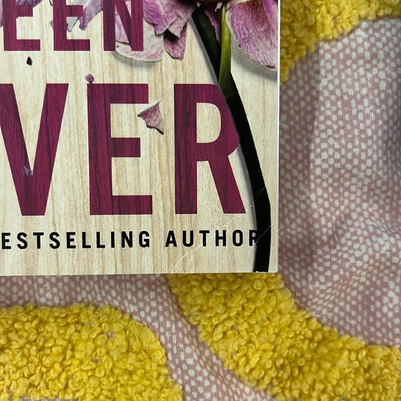 Colleen Hoover Book Bundle