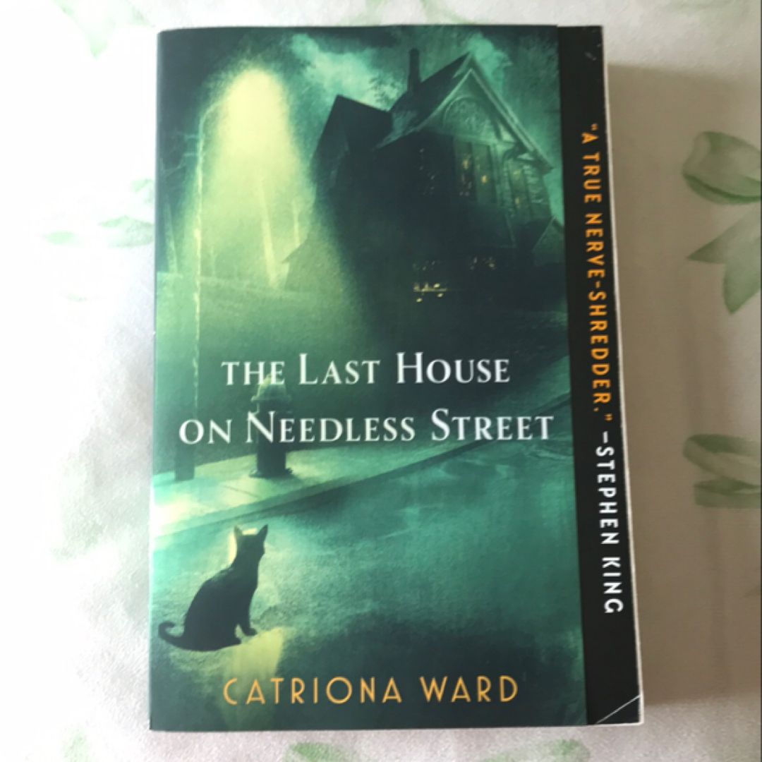 The Last House on Needless Street
