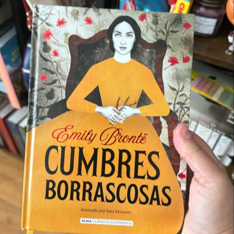 Cumbres Borrascosas