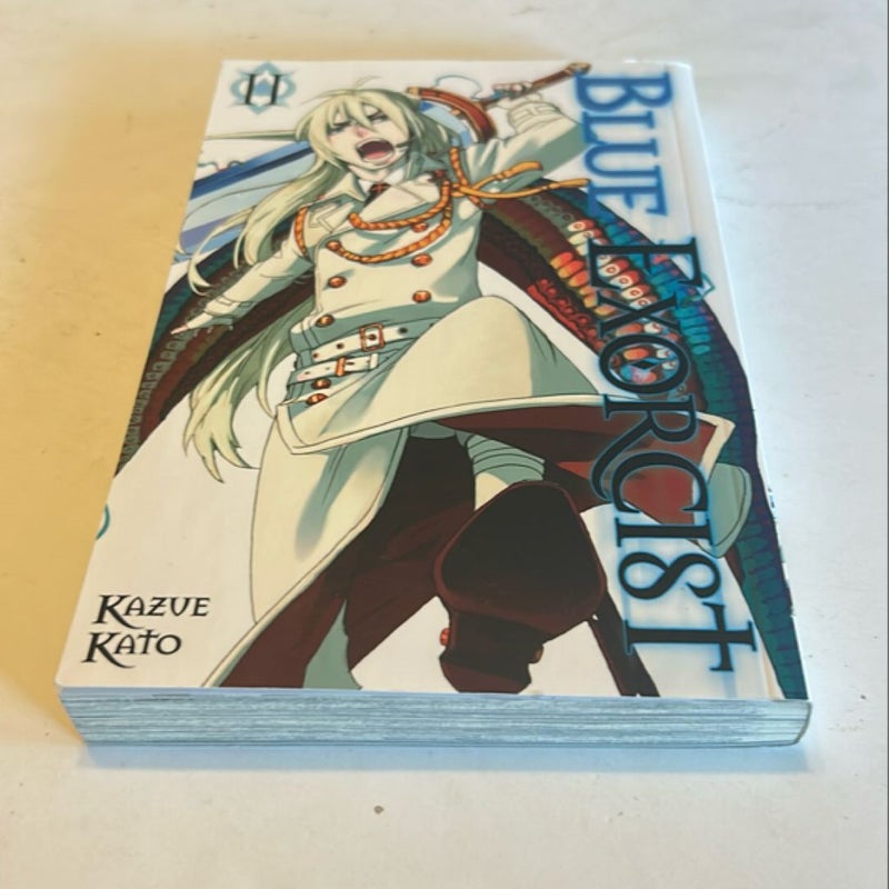 Blue Exorcist, Vol. 11