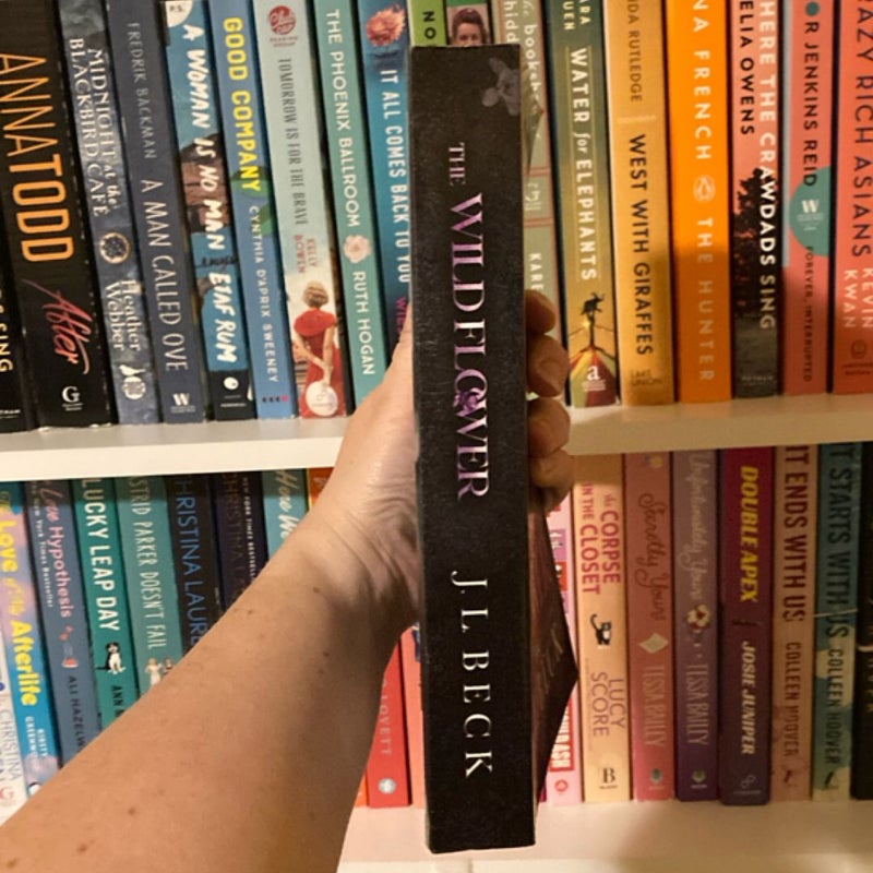 The Wildflower: a Dark New Adult Bully Romance