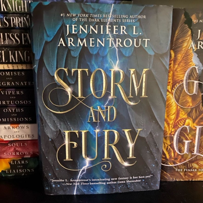 Storm and fury bundle 