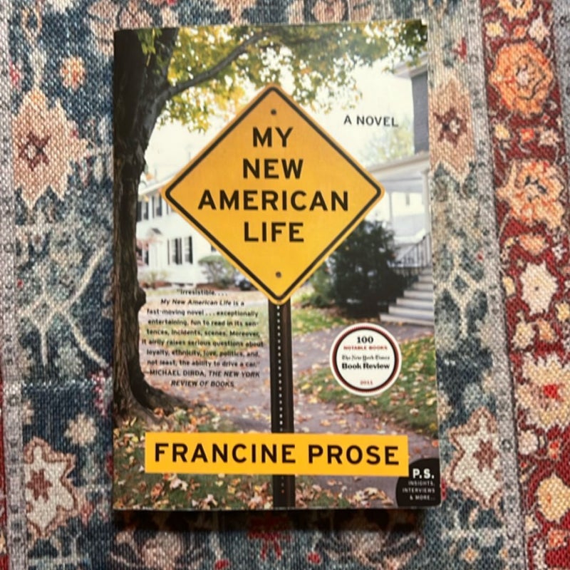 My New American Life