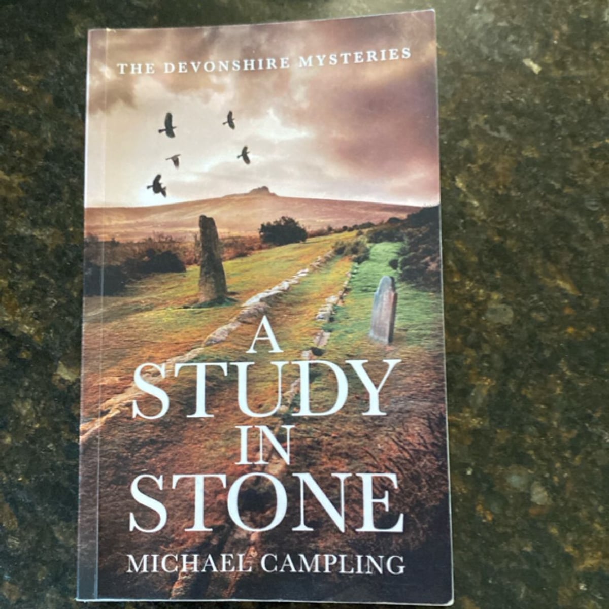 A Study in Stone by Michael Campling