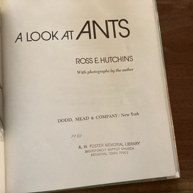 A Look at Ants