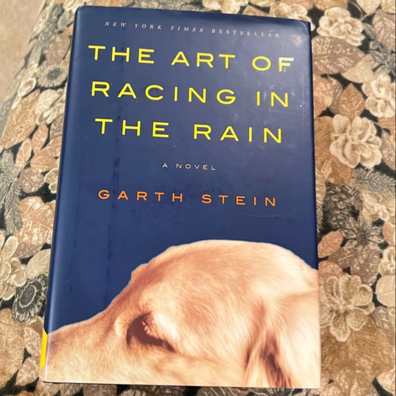 The Art of Racing in the Rain