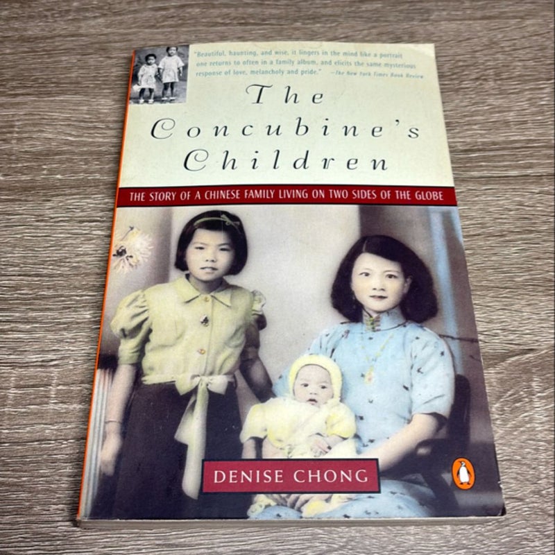 Concubine's Children