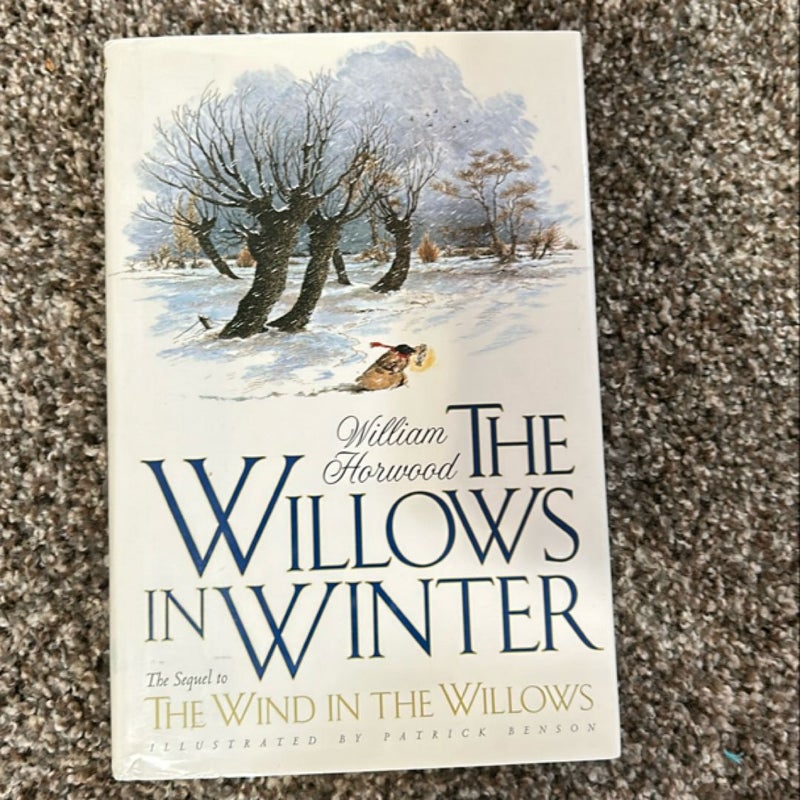 The Willows in Winter