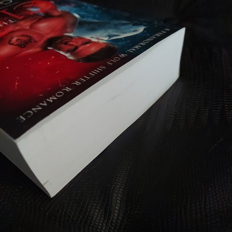 The Clan of Hogan Falls: (a Paranormal Wolf Shifter Romance) READ DESCRIPTION 