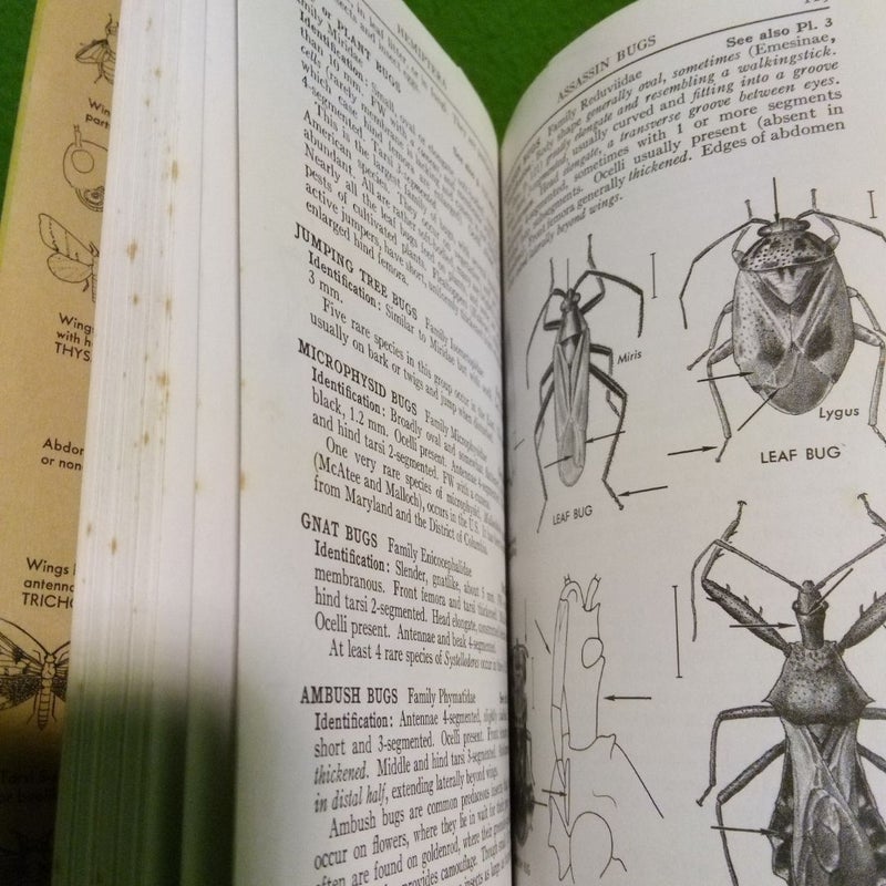 Vintage 1970 - A Field Guide to the Insects of America North of Mexico