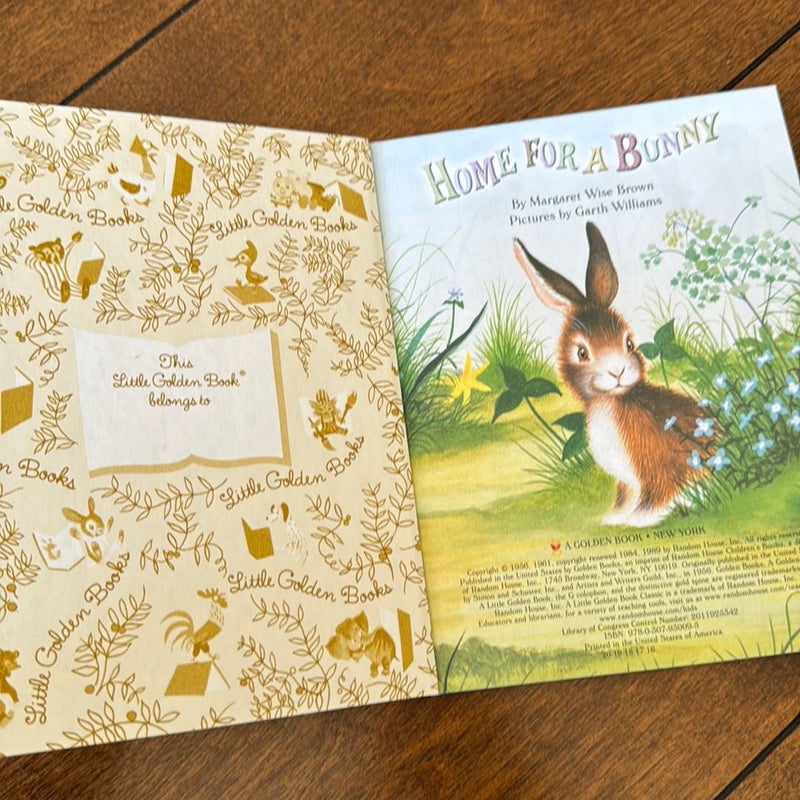 Home for a Bunny