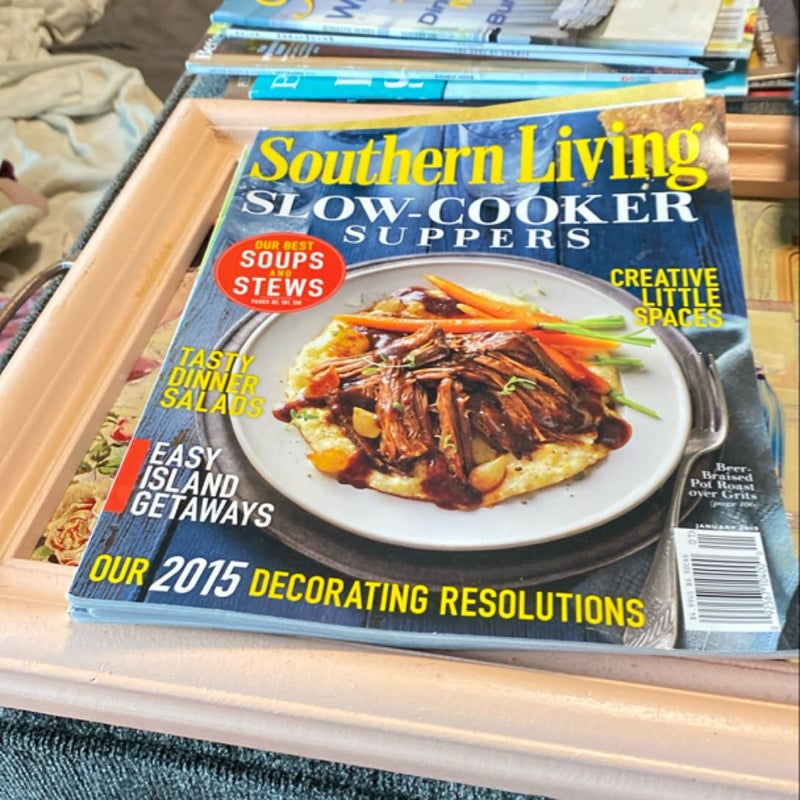 Southern Living Mag Bundle Back issues 2011-2016