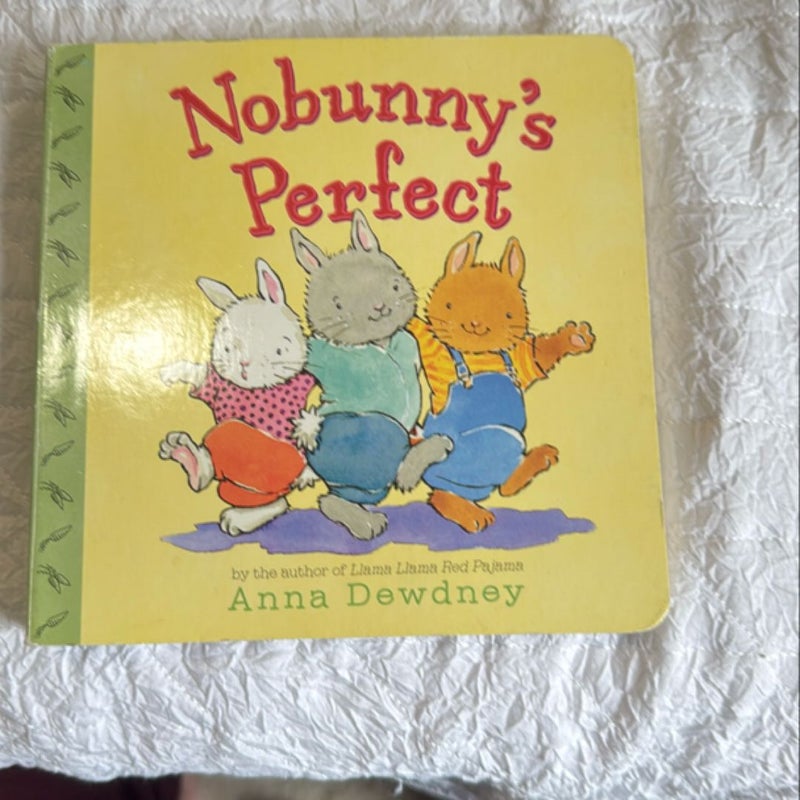 Nobunny's Perfect