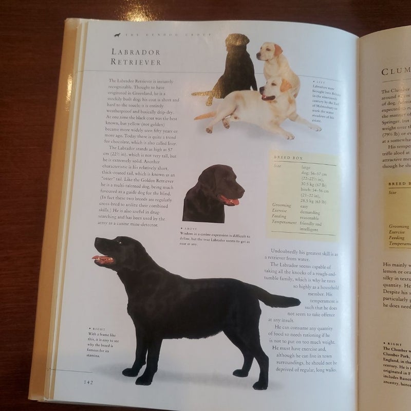 The Ultimate Encyclopedia of Dogs Breeds and Dog Care