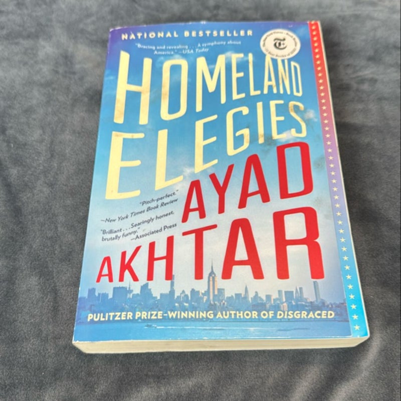 Homeland Elegies